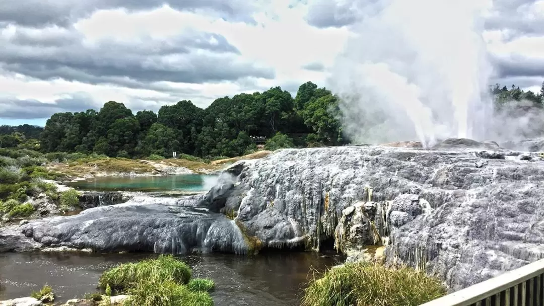 Rotorua Highlights Small Group Day Tour from Auckland