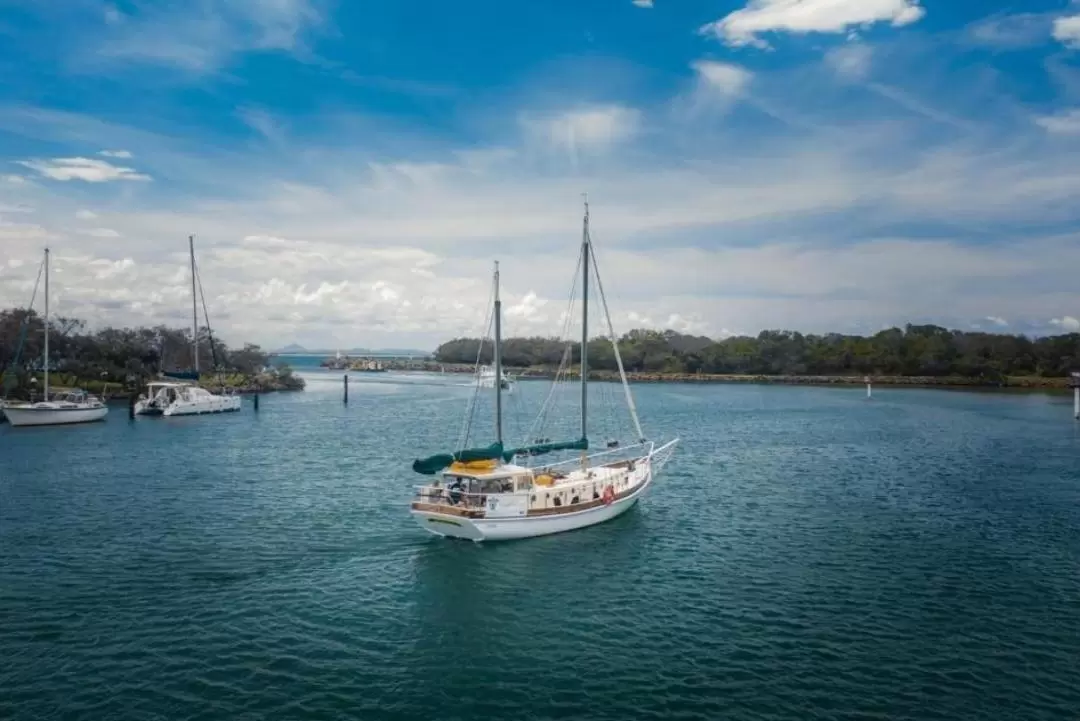 Traditional Owner Guide and Cultural Tour in Sunshine coast 