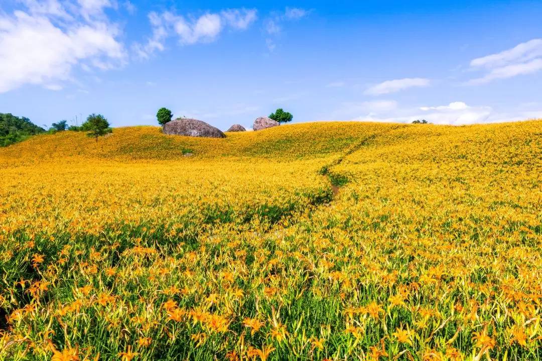 화련 적가산(赤柯山) / 육십석산(六十石山) 차량투어 (자유일정) 