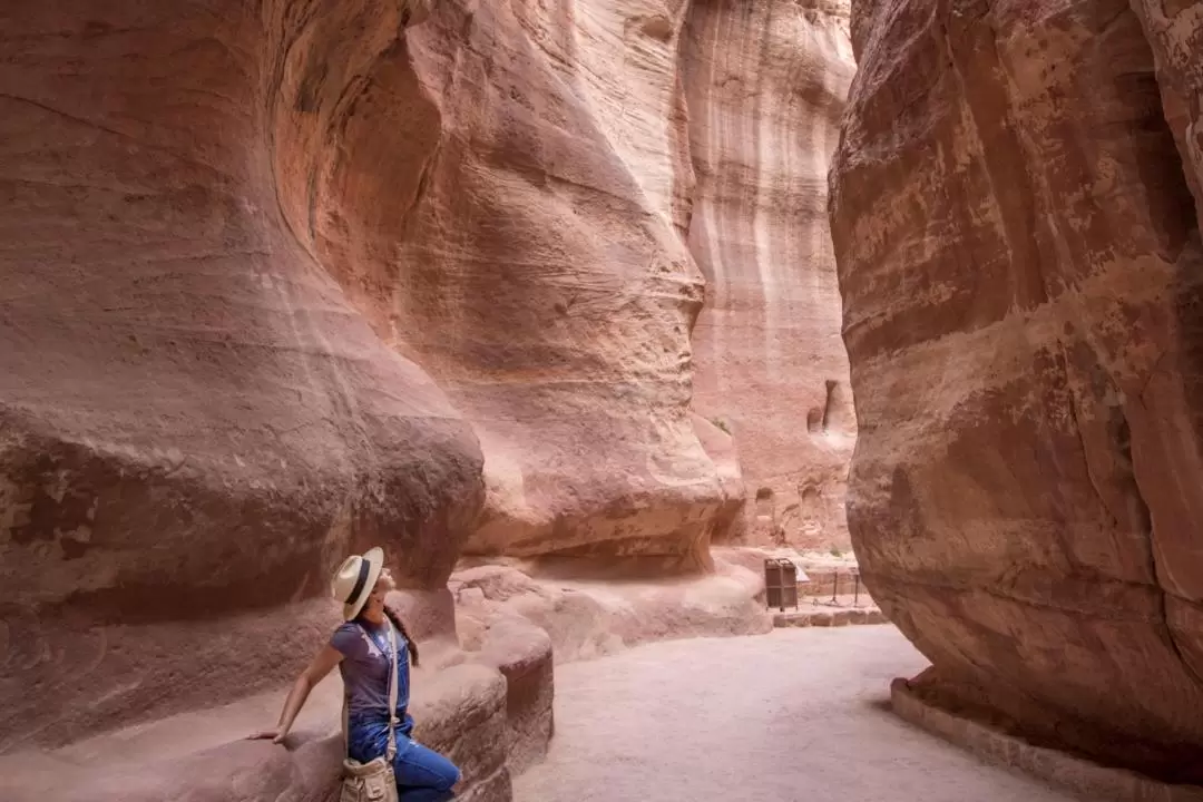 Nabatean Red Rose City of Petra Tour from Wadi Rum