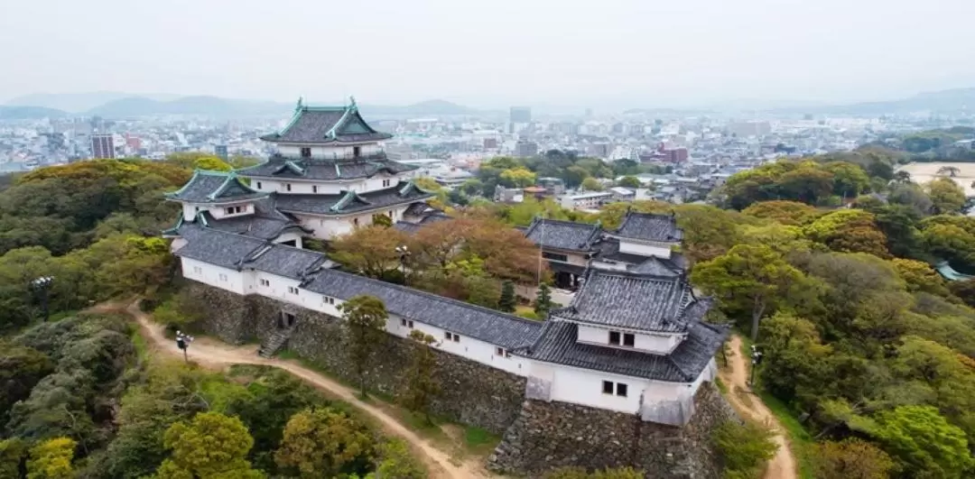 和歌山城x黑潮市場x奈良神鹿公園x東大寺一日遊(大阪出發)