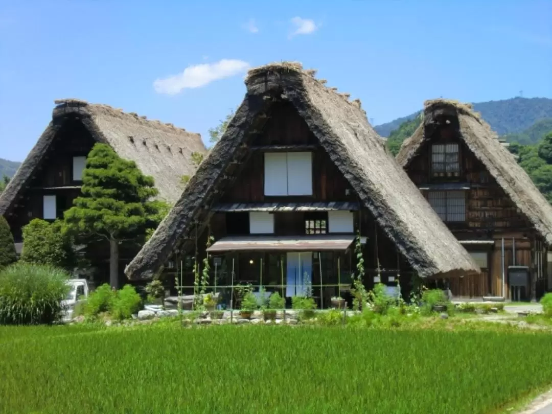 白川鄉 & 南礪村莊之旅（高山出發）