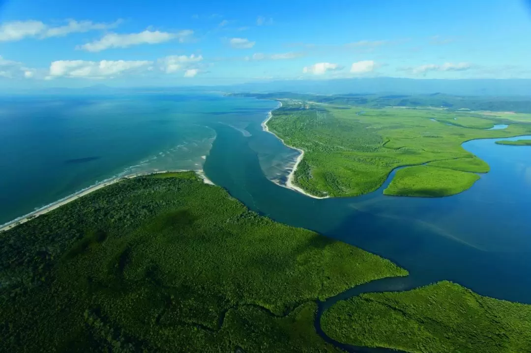 Cape Tribulation and Daintree Wildlife Day Tour from Cairns