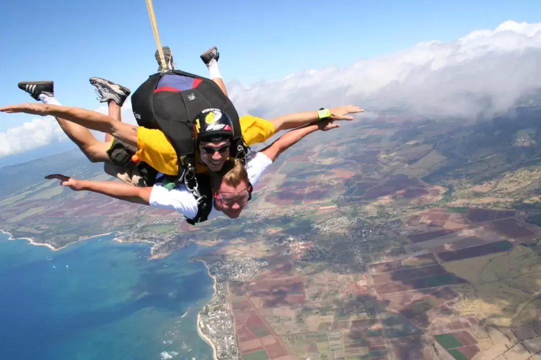 スカイダイビング体験（オアフ島 / Skydive Hawaii提供）