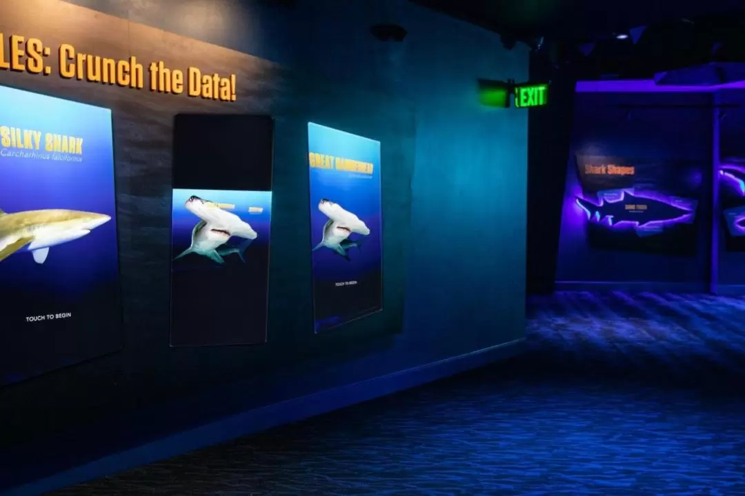 Georgia Aquarium Admission in Atlanta