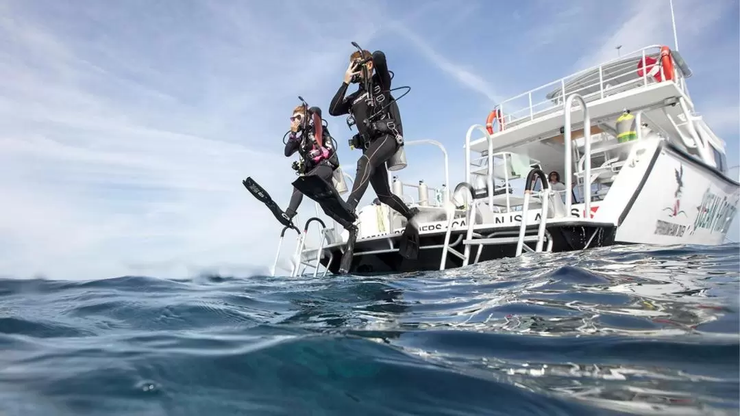 Open Water Diver Course in Lembongan with 5 star PADI Dive Center 