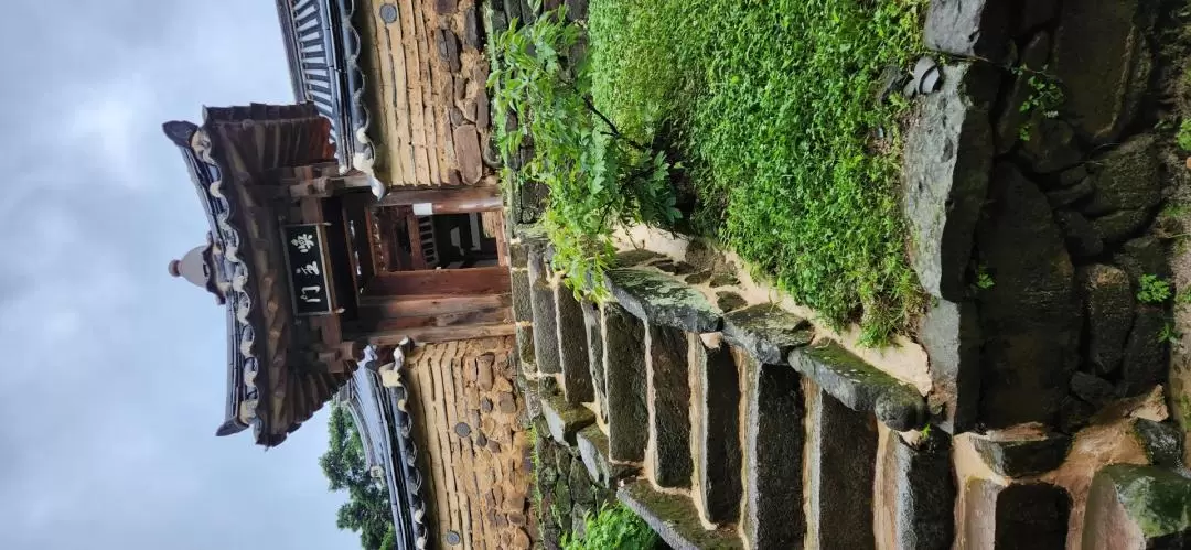 大邱 歴史遺産巡りツアー