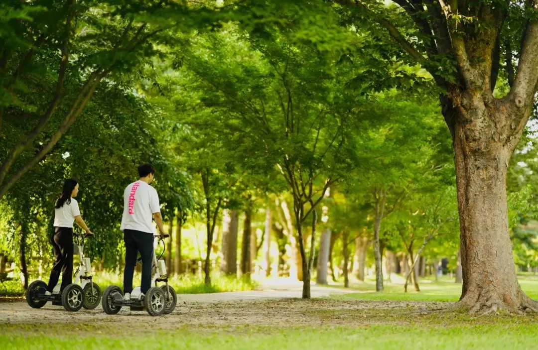 Nami Island Ticket