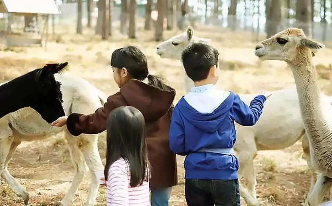 달랏 주두 동물원 일일 투어 (루미에르 전시관 선택 가능)