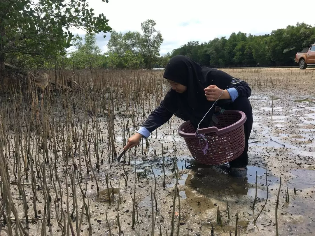 Beting Lintang Mussels Picking Experience