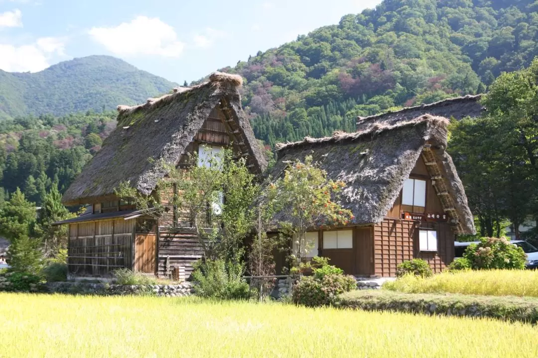 2天1夜 白川鄉 & 高山 & 金澤探索之旅（大阪出發）