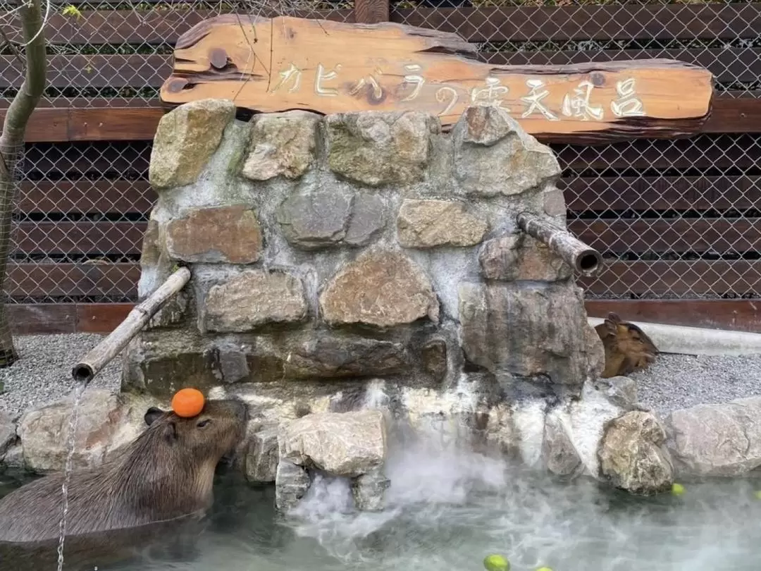 張美阿嬤農場 日帰りツアー（宜蘭 / 台北発）