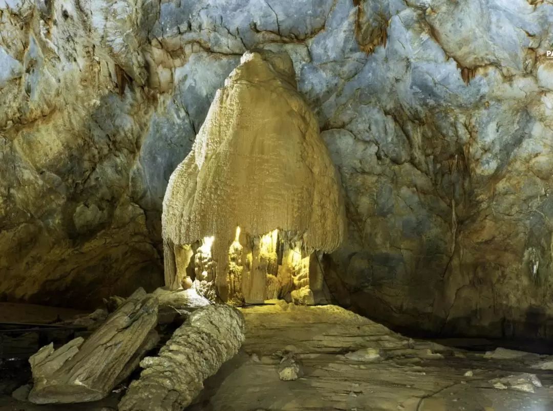 Paradise Cave Ticket in Quang Binh