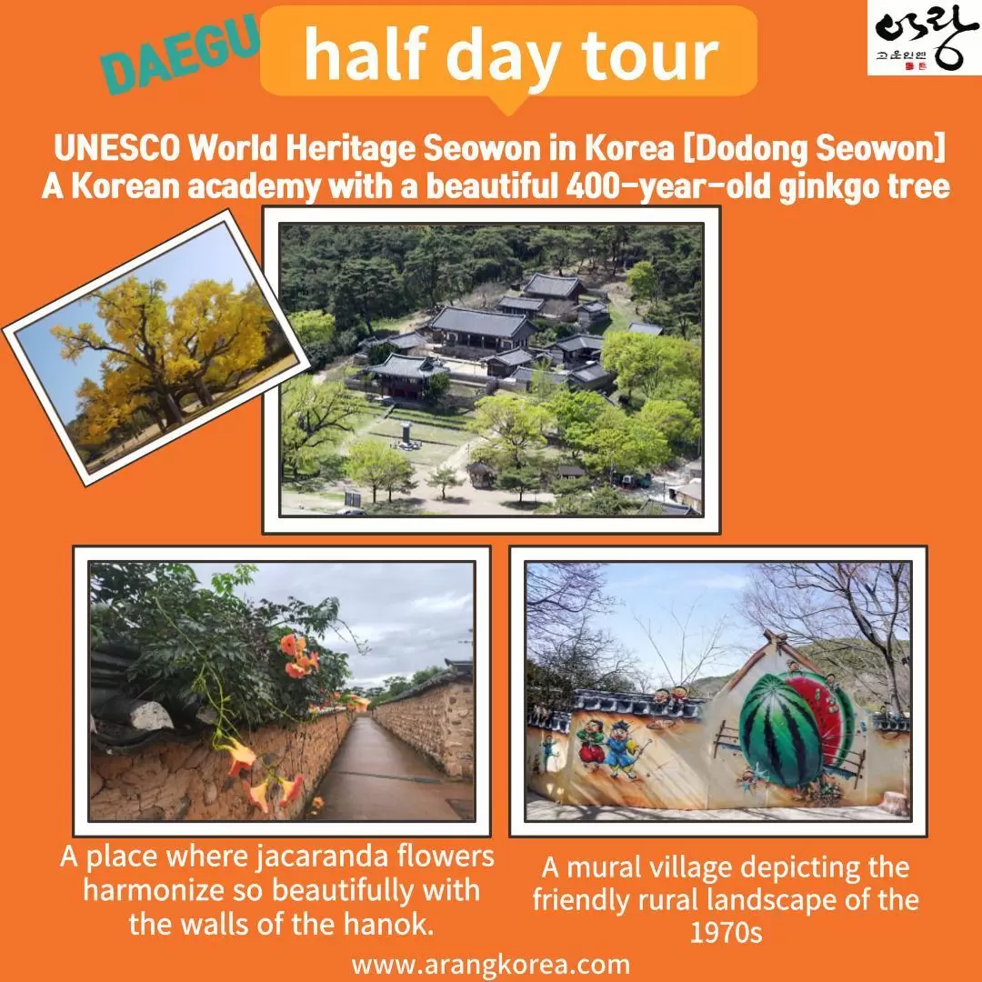 Daegu Historical Attraction Tour