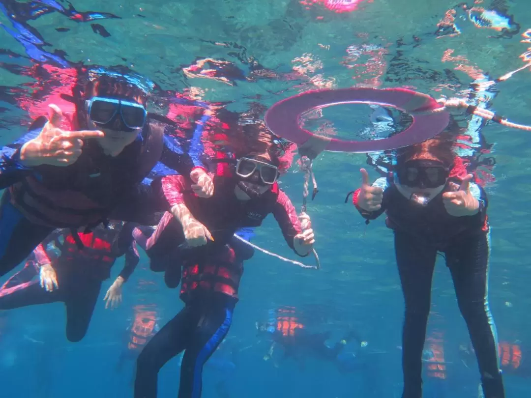 小琉球｜浮潛體驗與海龜共遊｜多人同行優惠