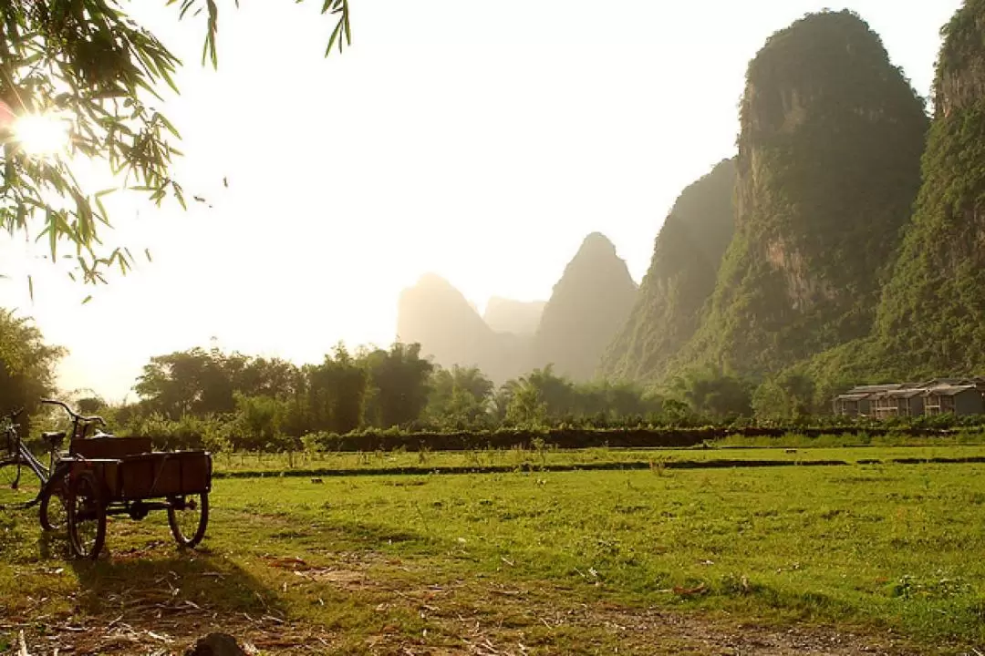 Yangshuo and Li River Highlights Day Tour with Transfers