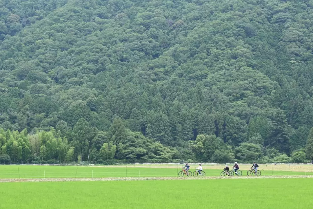 三重県サイクリングツアー（多気町）