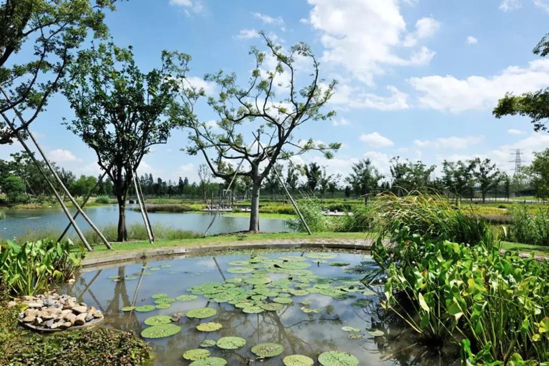 上海辰山植物園 入園チケット