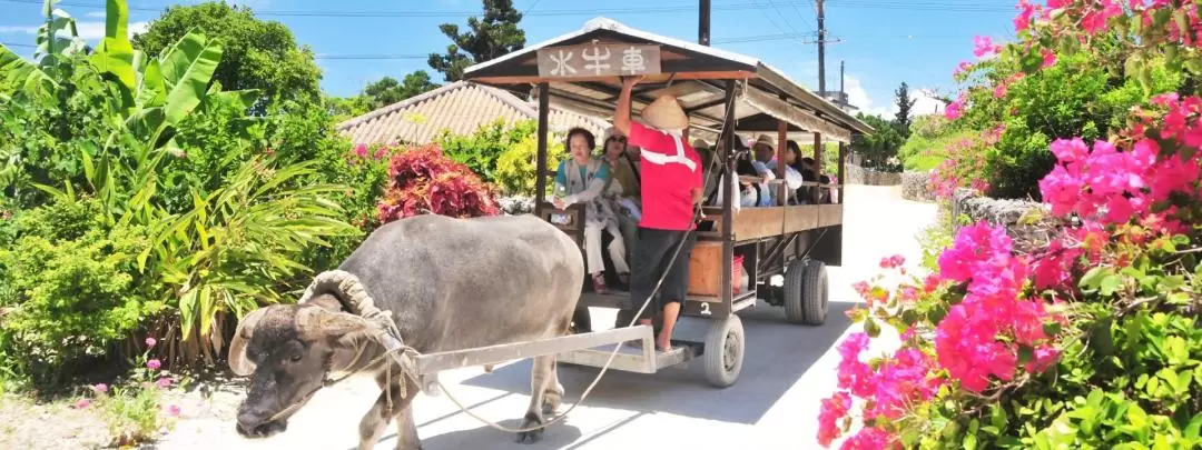 Taketomi Island Trip From Ishigaki Island in Okinawa