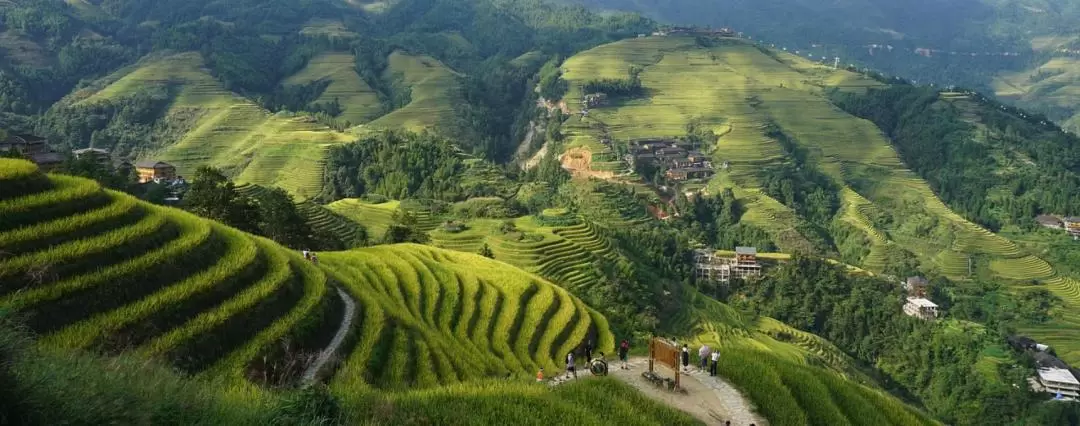 Longji Rice Terraced Fields and Minority Villages Tour with Transfer from Guilin or Yangshuo