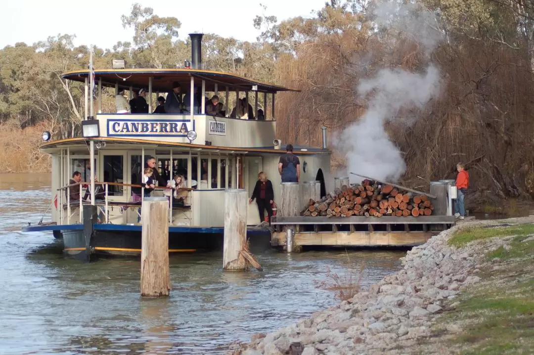 Murray River Paddlesteamer Cruise in Echuca