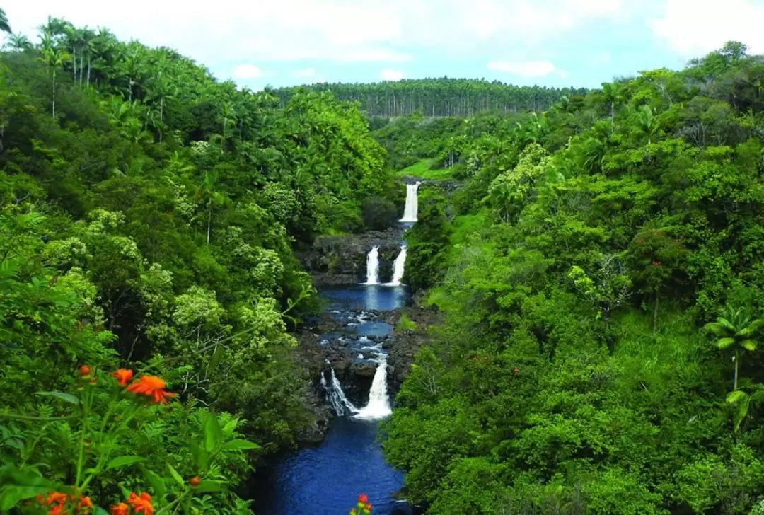 Umauma Falls Zipline Experience in Big Island