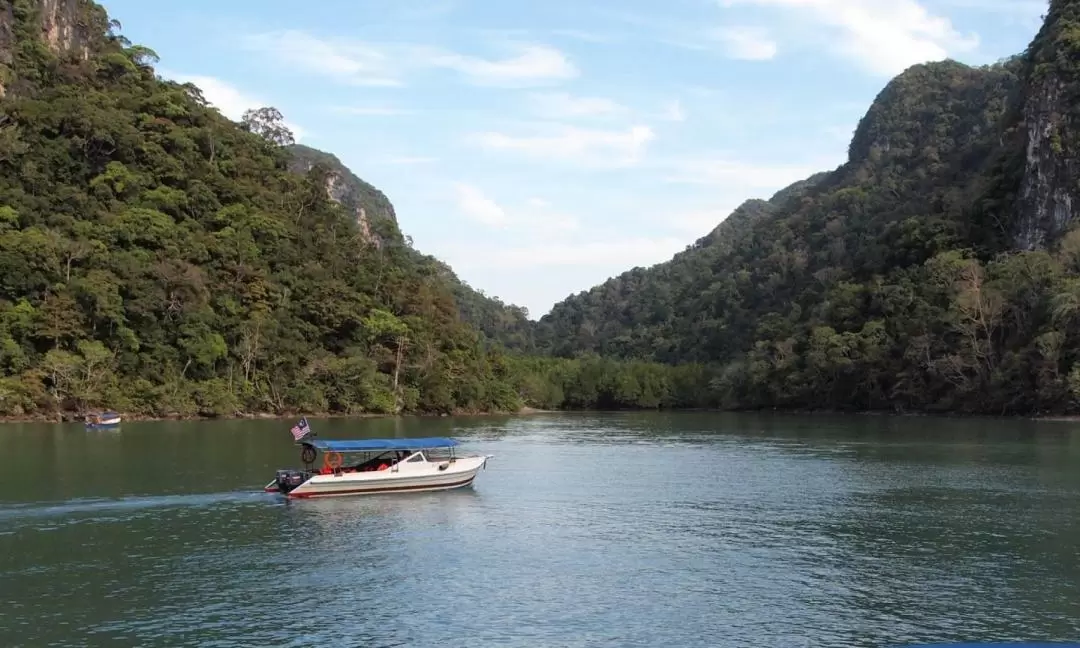 蘭卡威孕婦島（Dayang Bunting Island）私人遊覽 & 叢林徒步 & 游泳體驗