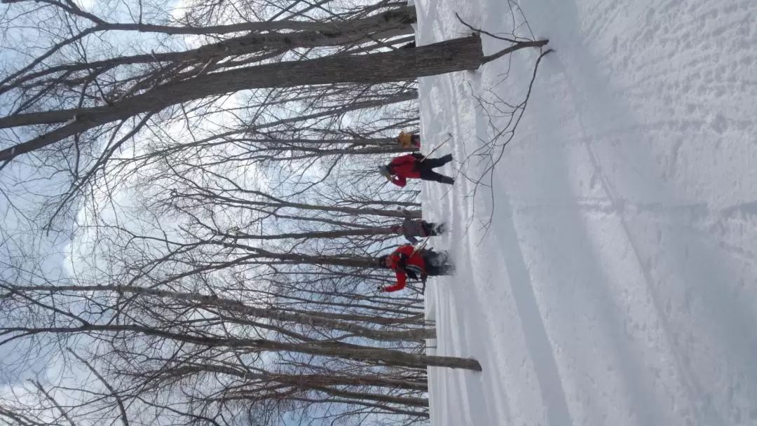 Bird Watch & Nature Cafe Experience with Nature Guide in Sapporo