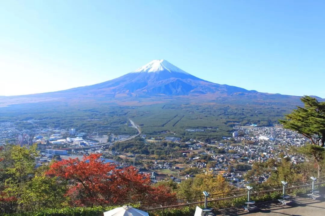 Mt. Fuji Panoramic Ropeway Round-trip Ticket in Yamanashi
