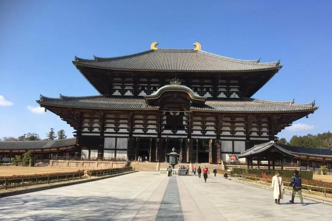 Nara City, Nara Park, Temples & Shrines One Day Tour