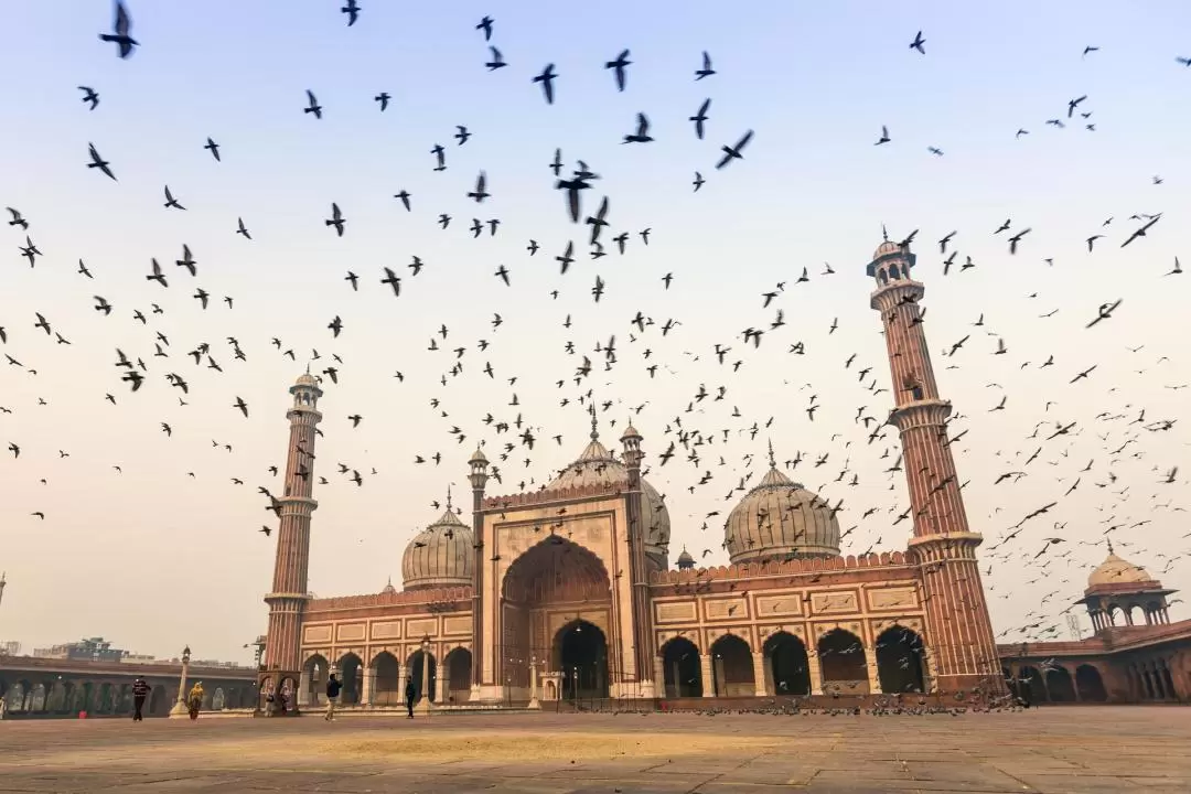 Old Delhi Bazaar Walking Tour