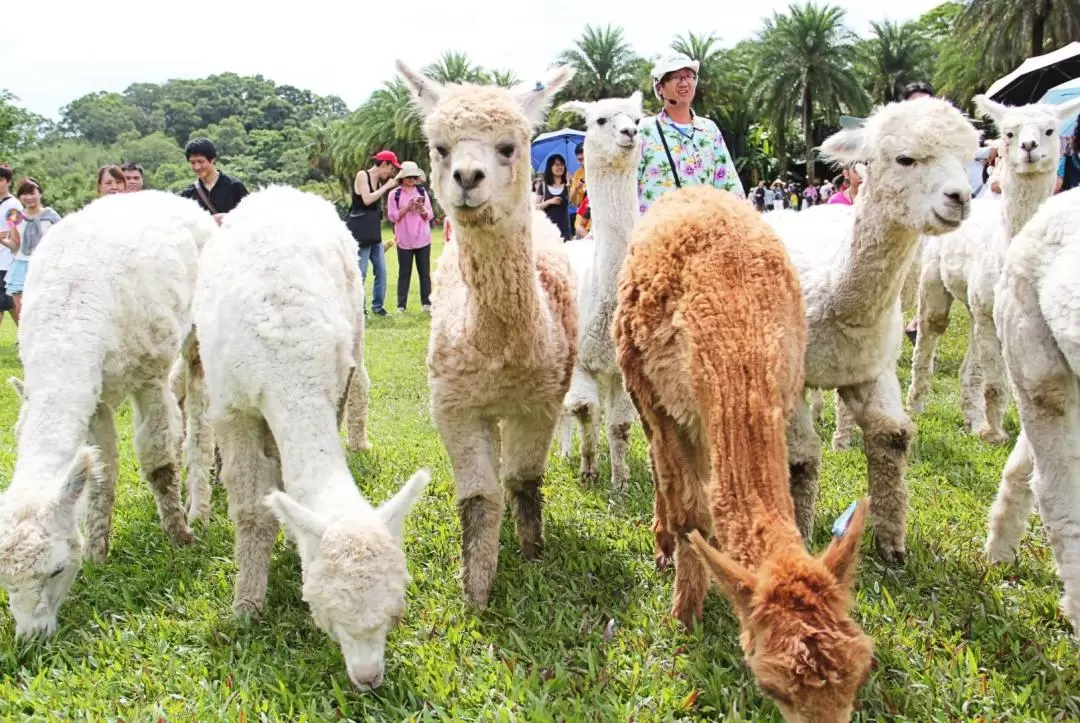 Green World Ecological Farm Ticket in Hsinchu