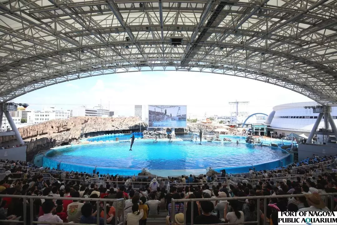 名古屋港水族館 入館チケット