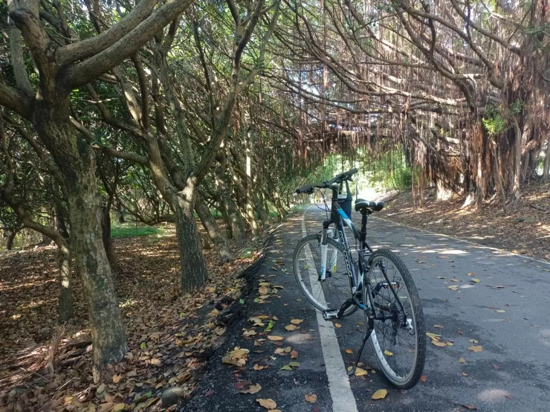 花蓮: 花蓮濱海自行車體驗 - 鳥踏石公園&曙光橋&北濱公園&海祭場SUP