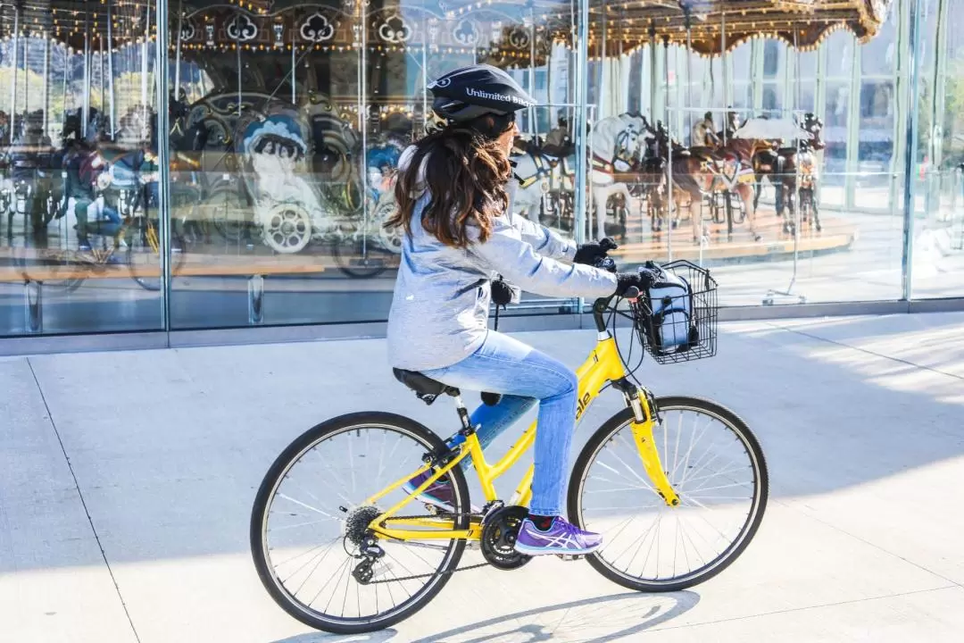 Brooklyn Bridge Bike Rental