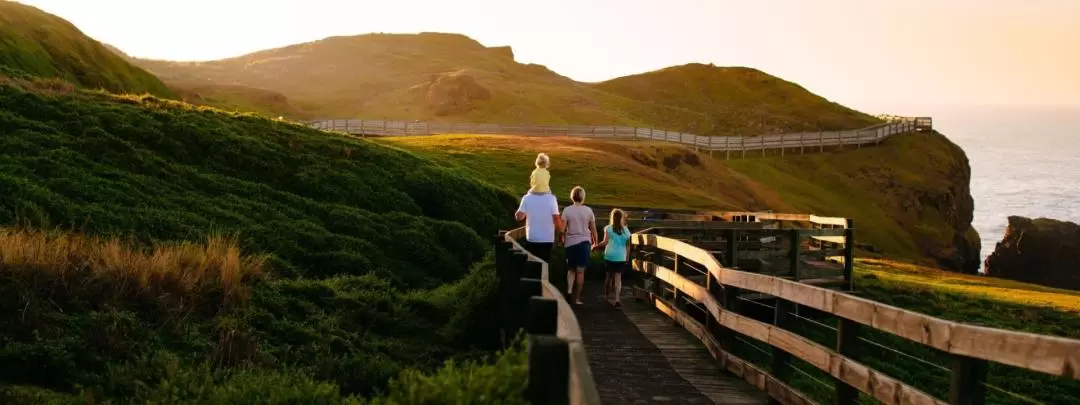 French and Phillip Island Day Tour from Melbourne