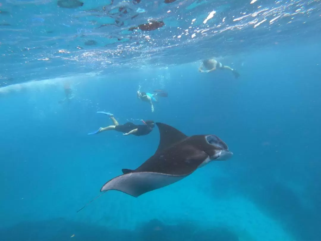 レンボンガン島・ペニダ島 日帰りシュノーケリングツアー（バリ発）