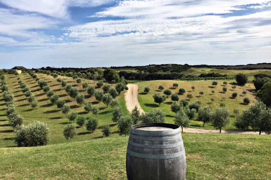 Yarra Valley Epic Wine Tour from Melbourne