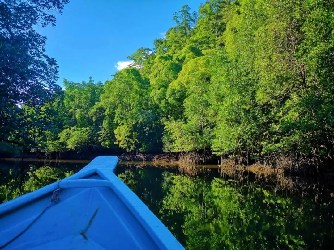 Sunset Mangrove Cruise Experience with Transfers and Meal in Langkawi