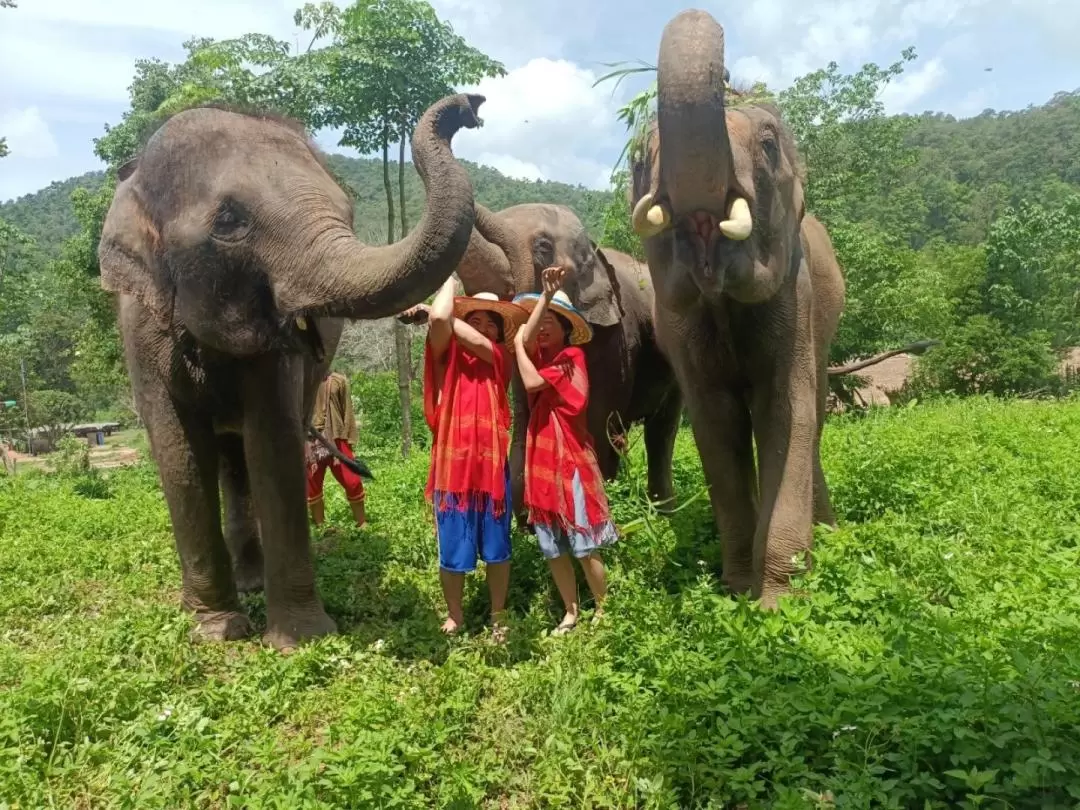 Elephant Day Care at Chiang Mai Mountain Sanctuary