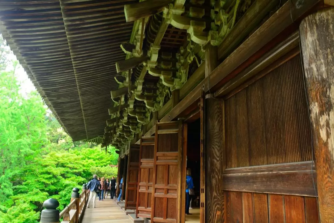 姫路城・好古園・圓教寺 プライベート日帰りツアー（大阪発）