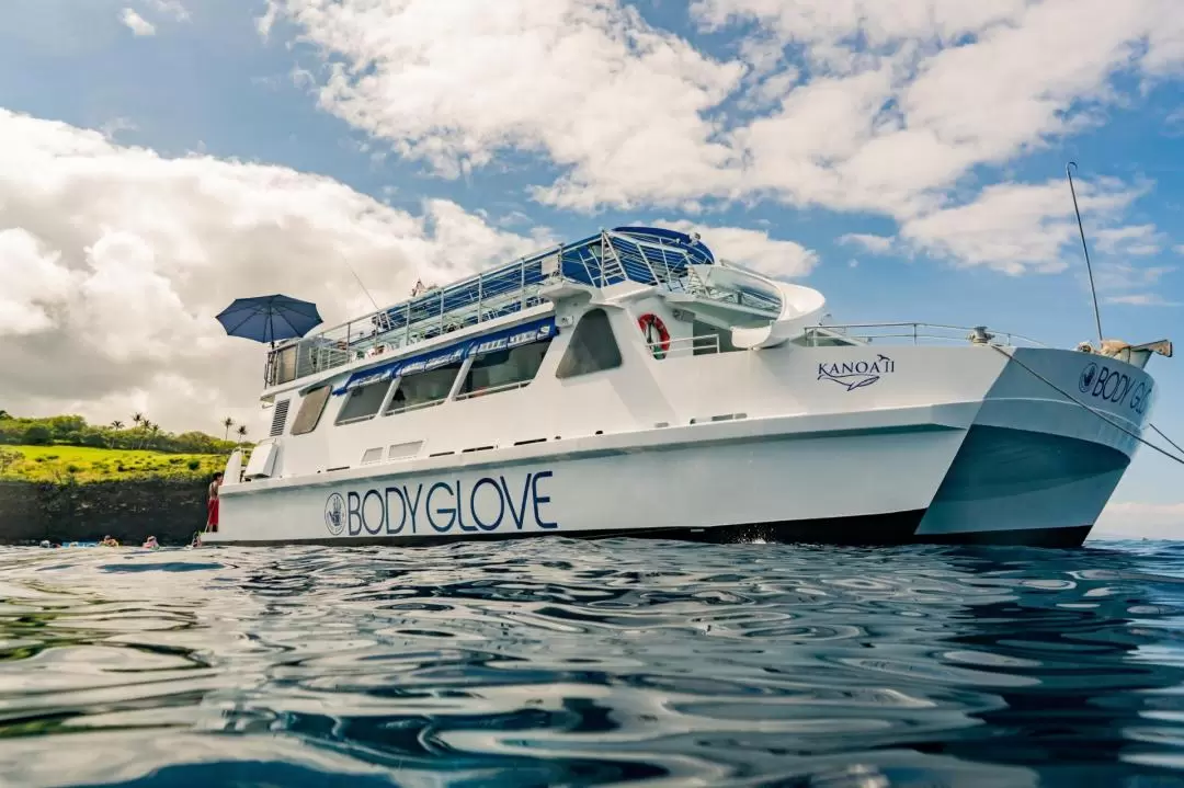 Deluxe Snorkeling & Dolphin Watching Experience in the Big Island