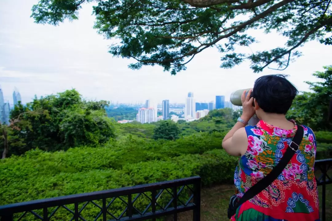 新加坡花柏山早晨健行＆早餐體驗