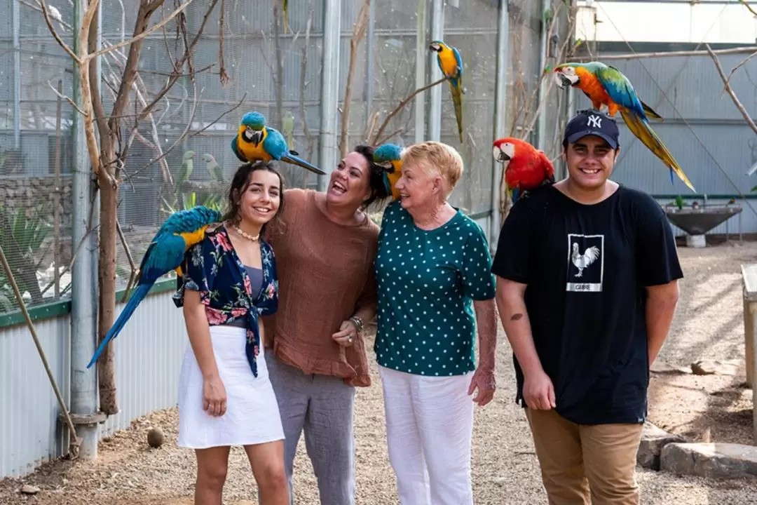 Maleny Botanic Gardens and Bird World Ticket in Sunshine Coast