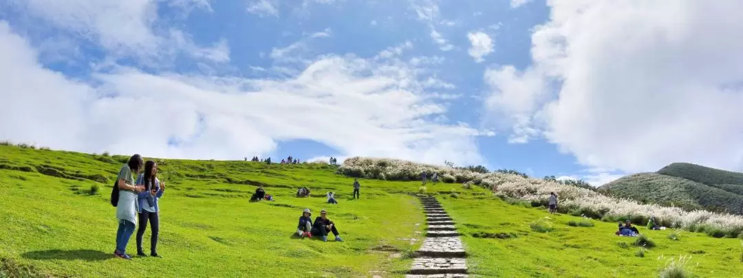 Beitou and Yangmingshan Day Tour in Taipei