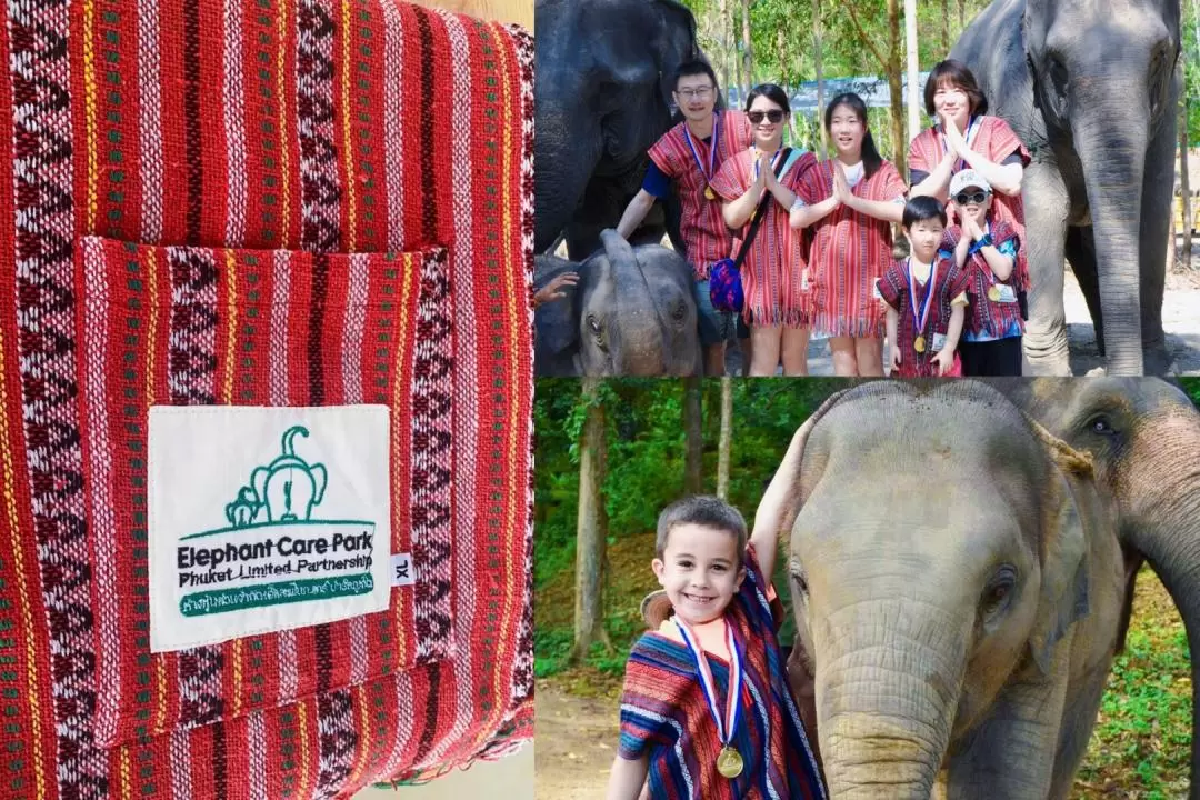 Elephant Care Park Experience in Phuket