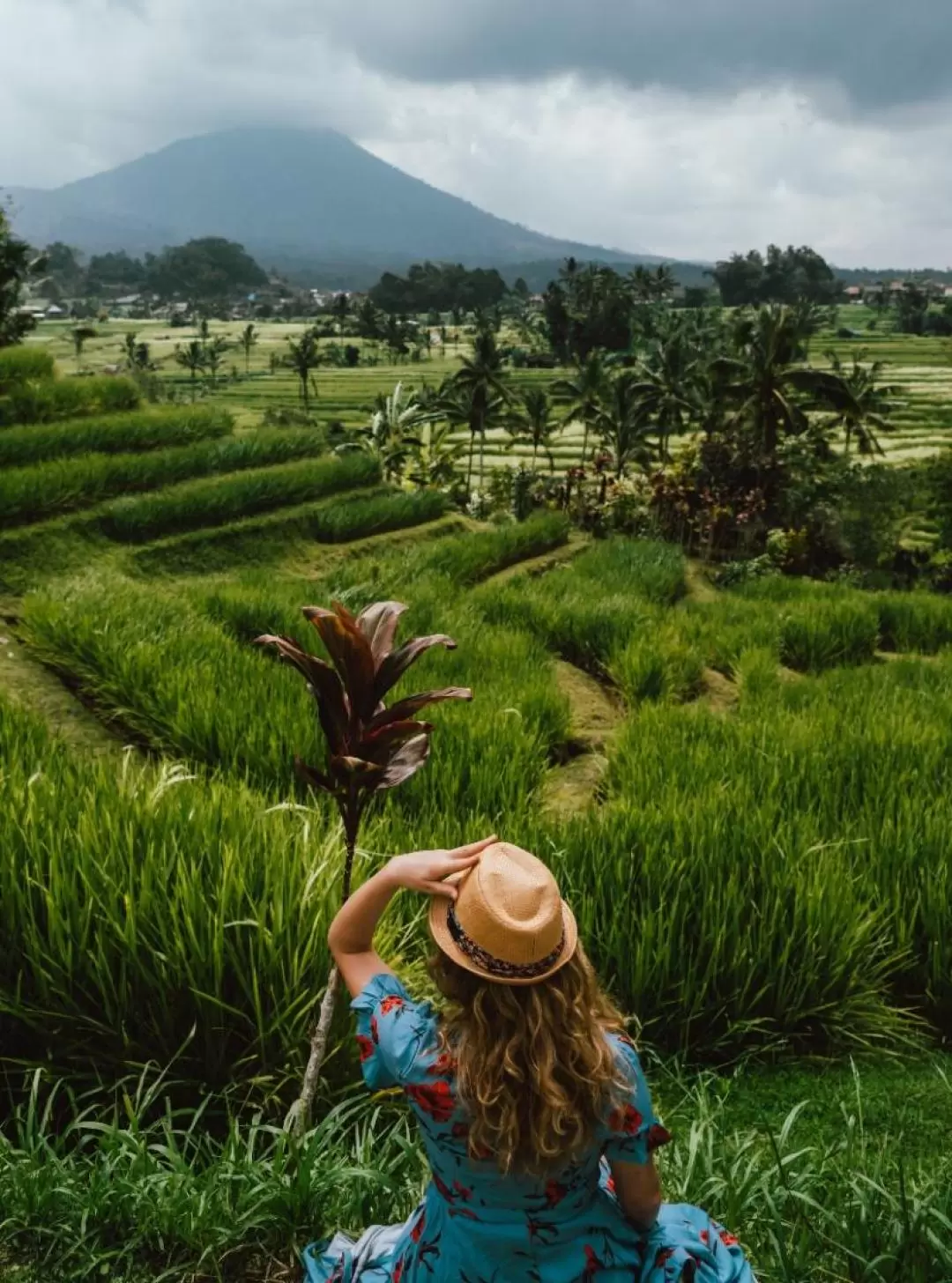 Ubud Monkey Forest and Hidden Waterfall With Photographer