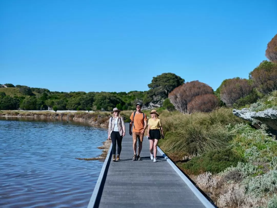 Lakes and Bays Guided Hike on Rottnest Island 