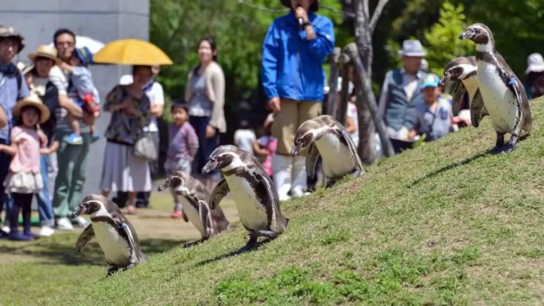 九州九十九島動植物園森閃閃門票