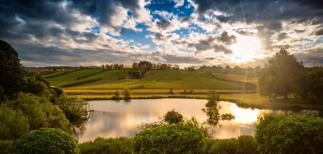 The Art of Sparkling Wine Tour at Josef Chromy Winery in Tasmania